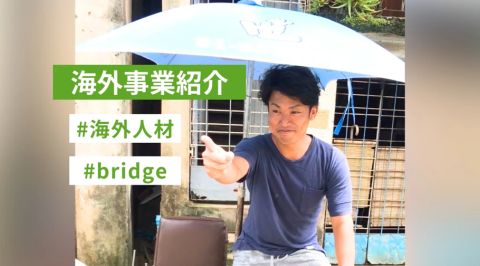 アジアの力を世界に繋ぐ、人材事業「bridge」